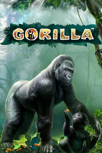 Gorilla - играть онлайн | GMSlots бесплатно без регистрации